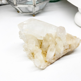 Golden Healer Lemurian 6