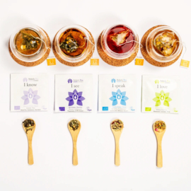 7 chakra thee cadeaudoos Solaris