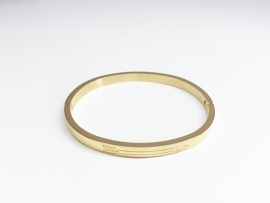 Bracelet Stainless steel gold thin: Arrow