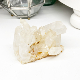 Golden Healer Lemurian 1