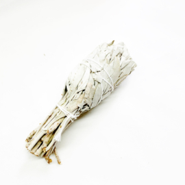 Witte Salie tulp smudge
