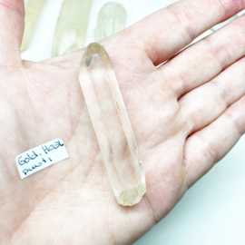 Golden Healer Lemurian punt