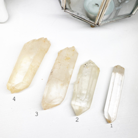 Golden Healer Lemurian punt