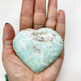 Caribbean Calciet hart 2