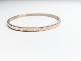 Stainless Steel bracelet rose thin "Never give up"