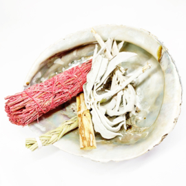Dragon's Blood