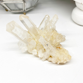 Golden healer Lemurian 2