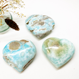 Caribbean Calciet hart 3