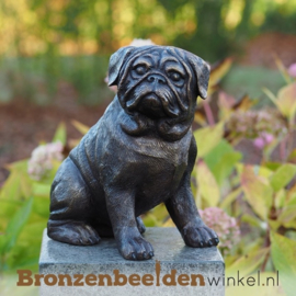 Beeld mopshondje brons BBW1173br