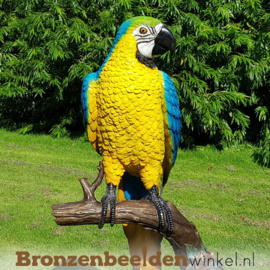 Bronzen beeld papegaai BBW1147p