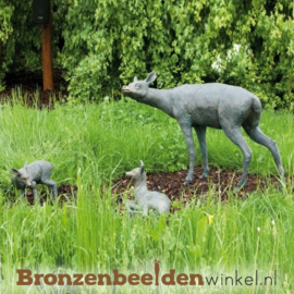 Tuinbeeld ree familie BBWR88286