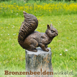 Bronzen eekhoorn beeld BBWAN2206BR