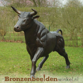 Groot bronzen stieren beeld BBW96009