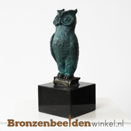 Cadeau voor professor "Wijze Uil" BBW004br28