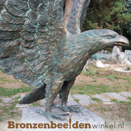 Beeld adelaar brons BBWR88859