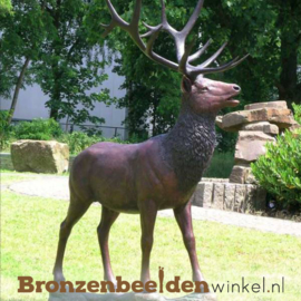 Groot beeld bronzen hert voor in de tuin BBW955