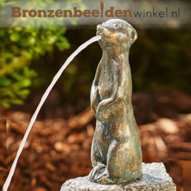 Kleine waterornamentjes drie stokstaartjes