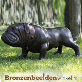 Honden beeld bulldog BBW97078