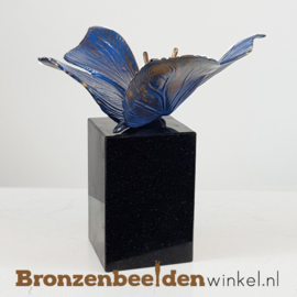 Bronzen reuzenvlinder beeld BBW85525