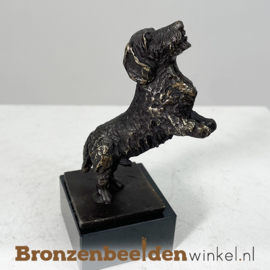 Hondenbeeldje "Enthousiaste ruwharige teckel" BBW043br05