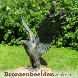 NR 6 | Cadeau man 60 jaar ''Bronzen adelaar'' BBWR88631