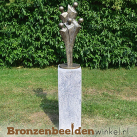 NR 5 | 30 jaar getrouwd cadeau "Het Gezin" BBW0425br