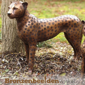Bronzen luipaard staand BBW1137