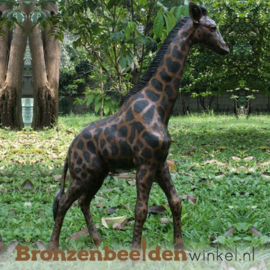 Bronzen giraffe tuinbeeld BBWB860