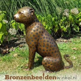 Bronzen luipaard zittend BBW1138