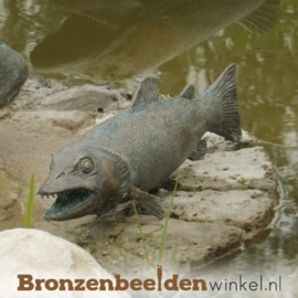 Sterrenbeeld cadeau ''Snoekbaars vis'' BBWR88252