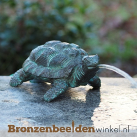 Spuitfiguur schildpad als fontein BBWAN1157br