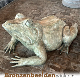 Reuzenkikker beeld Rutger BBW75100