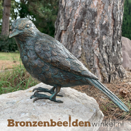 Bronzen merel beeld BBWR88470