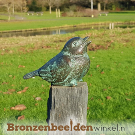 Andere kleine vogel beeldjes