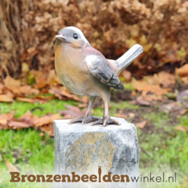 Bronzen vink vogeltje in kleur incl. sokkel BBWF6536fa06