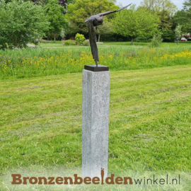 Vliegende uil beeld BBW1321br