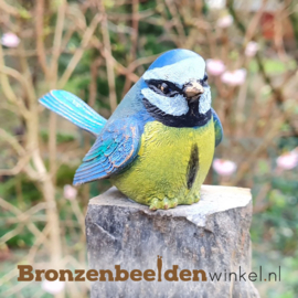 Bronzen blauwmees vogeltje BBW85448