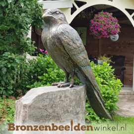 NR 6 | Bronzen beeld Den Haag ''Torenvalk beeld'' BBWR88462