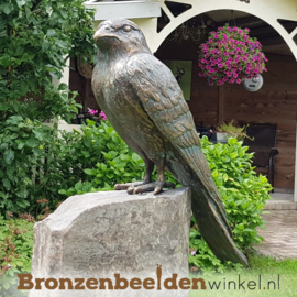 NR 3 | Cadeau voor broer ''Bronzen torenvalk'' BBWR88462