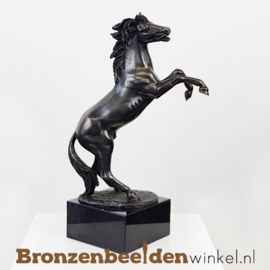 NR 7 | Cadeau vrouw 99 jaar ''Steigerend paardenbeeldje'' BBW1100br