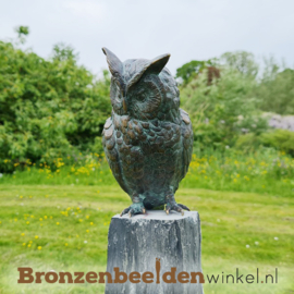 NR 7 | Halloween cadeau ''Bronzen neerkijkend uilenbeeldje'' BBWR88634