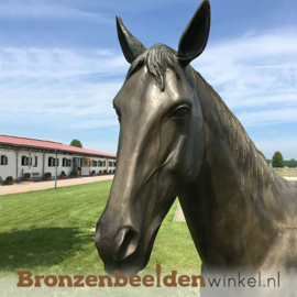 NR 6 | Bronzen paard "Baleno" BBW883475