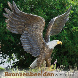 Levensgrote witkop adelaar "American Eagle" BBWR88632