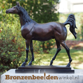 Bronzen paardenbeeldje BBW6116br