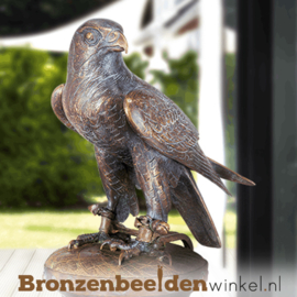 Beeld valk van brons BBW78103