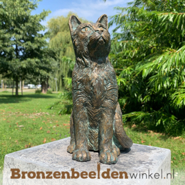 Bronzen beeld kat BBWR89058