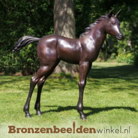 Bronzen beeld veulentje voor in de tuin BBW61081