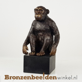 Beeld Chimpansee aap op sokkel BBW1331