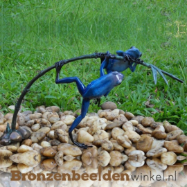 Beeld blauwe regenwoudkikkers BBW0980BR