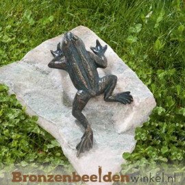 Kikker beeld brons BBWR88496